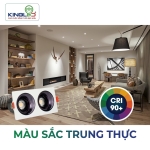 Đèn LED Âm Trần Rọi Turquoise 12W DA-GL-1*12SS-V88-V/TT/T